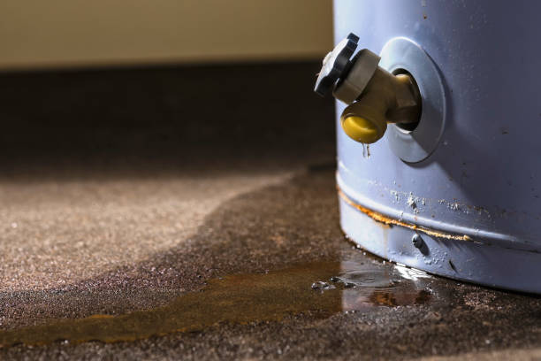Best Basement water damage restoration  in Morgan, UT