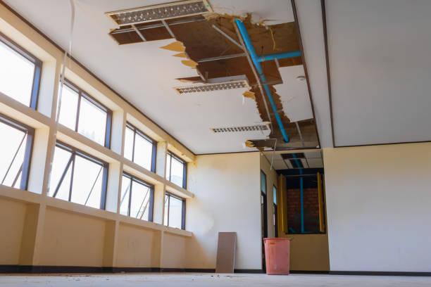 Best Professional water damage repair  in Morgan, UT