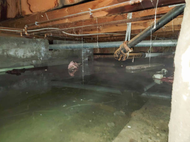 Best Emergency water damage restoration  in Morgan, UT