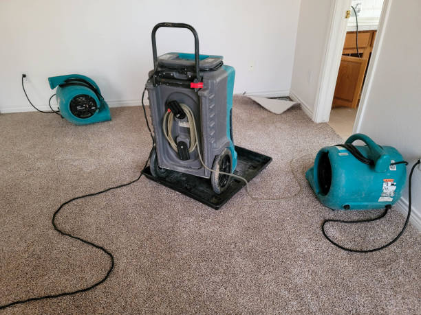 Best Fire Damage Restoration  in Morgan, UT