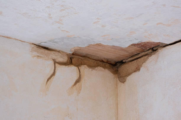 Best 24-hour water damage restoration  in Morgan, UT
