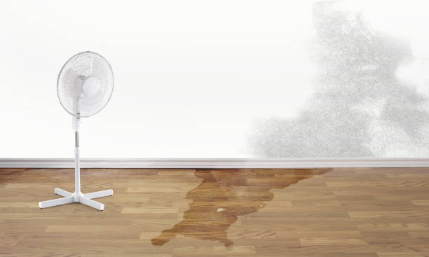 Best Water damage repair service  in Morgan, UT