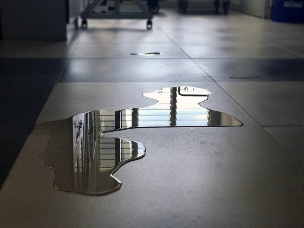 Professional Water damage restoration in UT