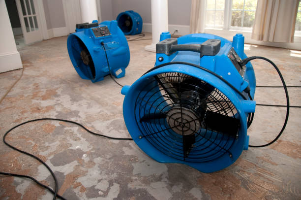 Best Sewage cleanup and water damage restoration  in Morgan, UT