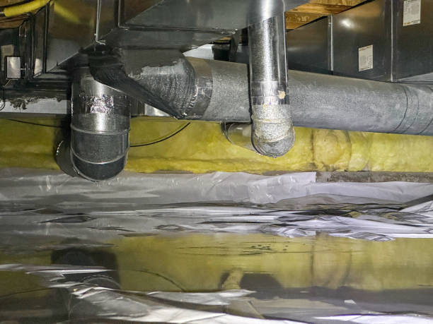 Best Ceiling water damage repair  in Morgan, UT