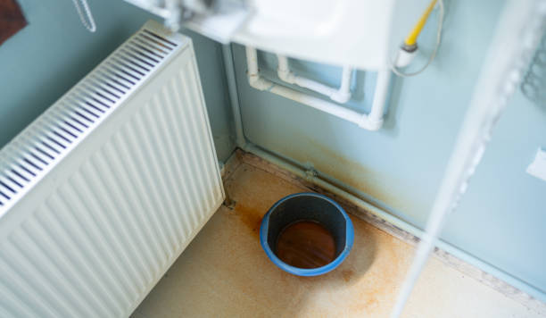 Best Mold removal after water damage  in Morgan, UT