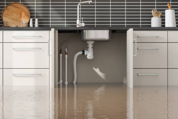 Best Local water damage restoration  in Morgan, UT